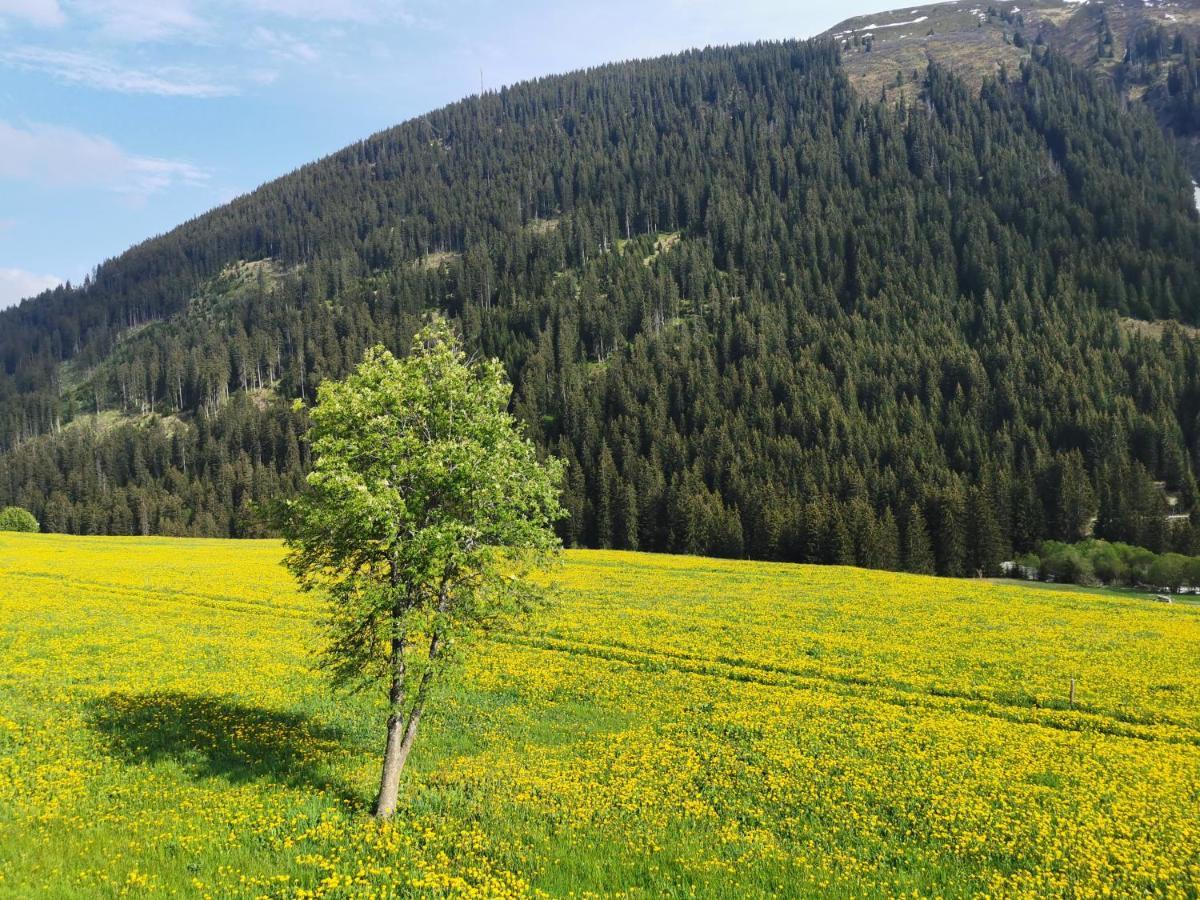 Апартаменты Tgesa Dutg Grond Седрён Экстерьер фото